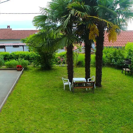 Apartment Anicic *